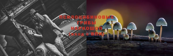 наркотики Белокуриха