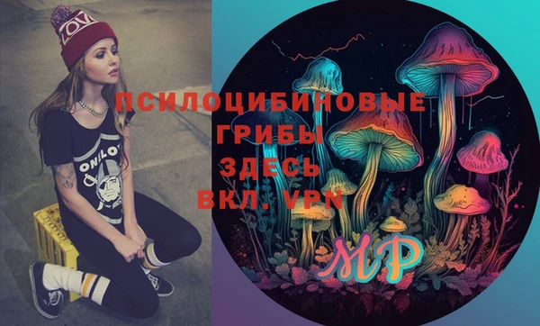 бошки Баксан