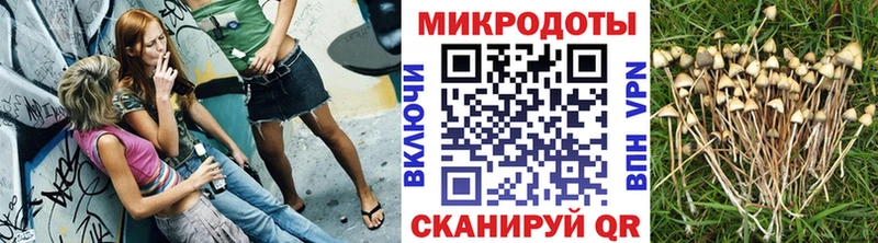 Галлюциногенные грибы прущие грибы  MEGA как войти  Катайск 